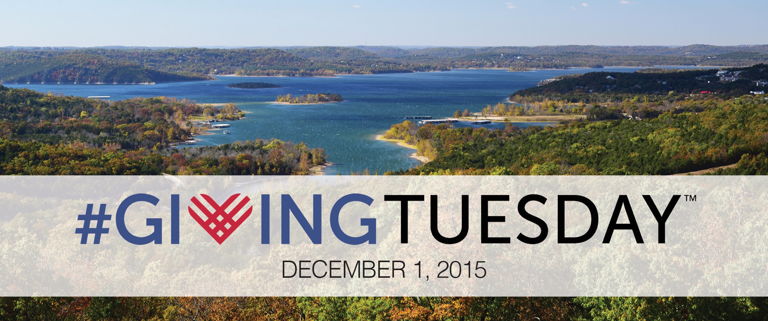 Giving Tuesday Web