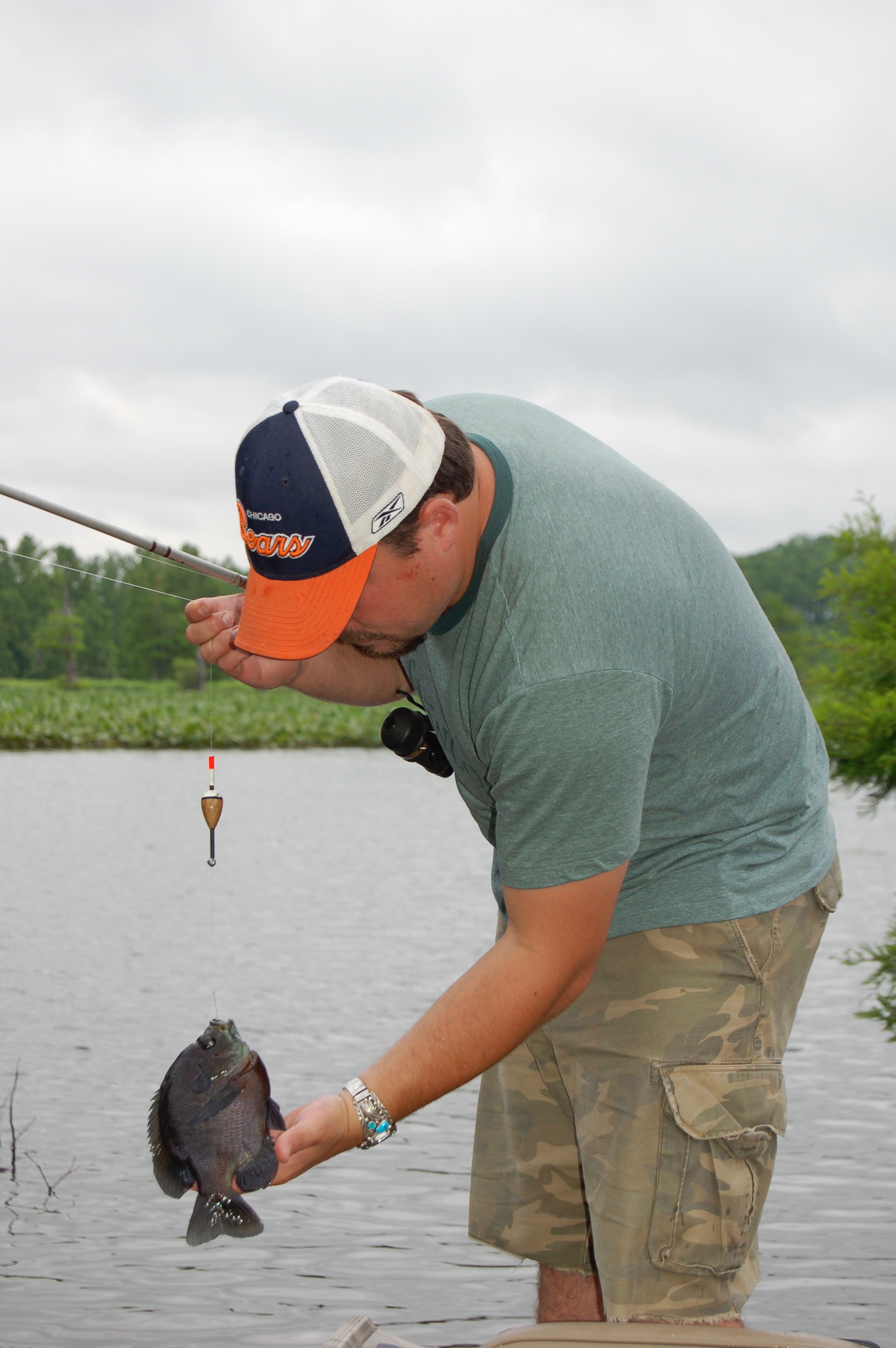 Bluegill Spawn Offers Nonstop Action - Conservation Federation of Missouri