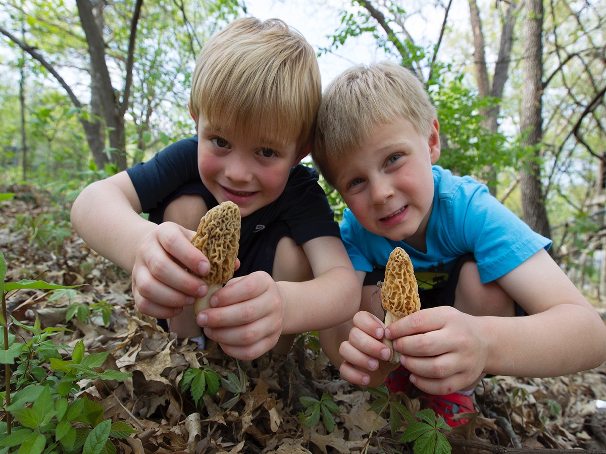 Mushroom hunting is fun for all ages. (Photo courtesy of Missouri Department of Conservation)