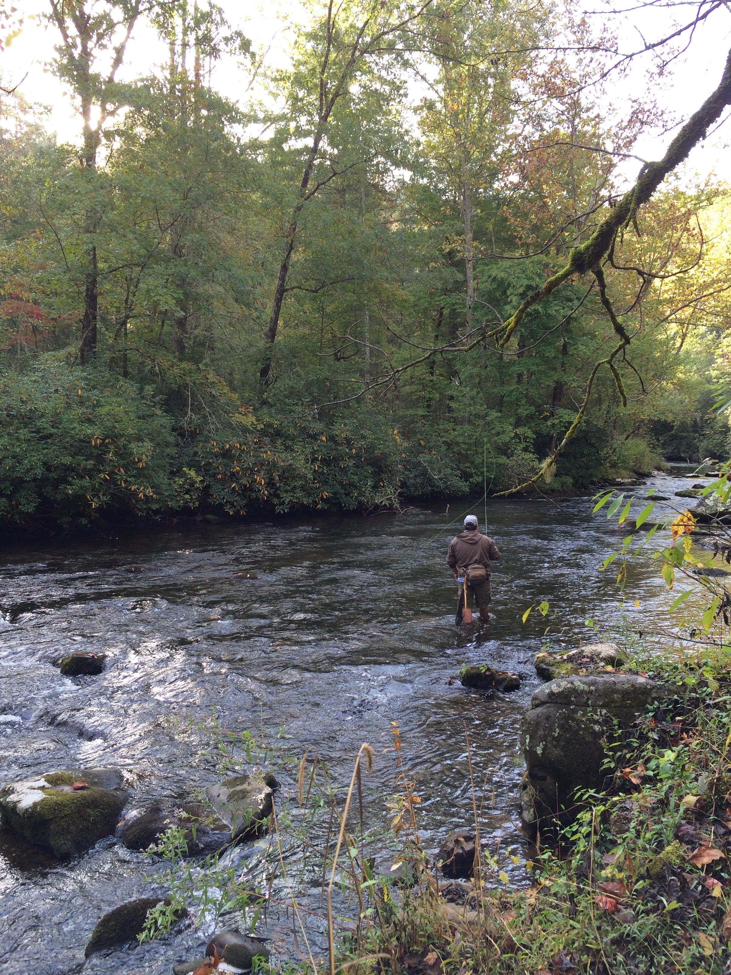 Some small streams that have historically held trout are today becoming too warm in the summer months to sustain such populations. 