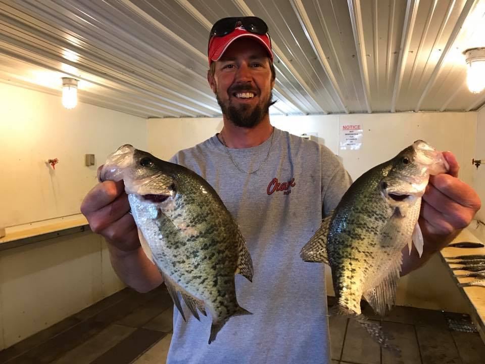 Jeff Faulkenberry Guides Clients to Success on Truman Lake - Conservation  Federation of Missouri